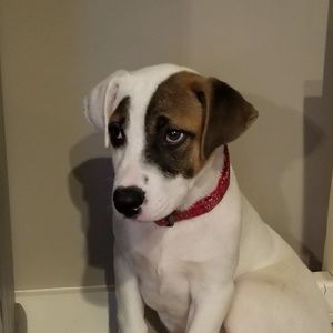 Meet your Posher, Janel